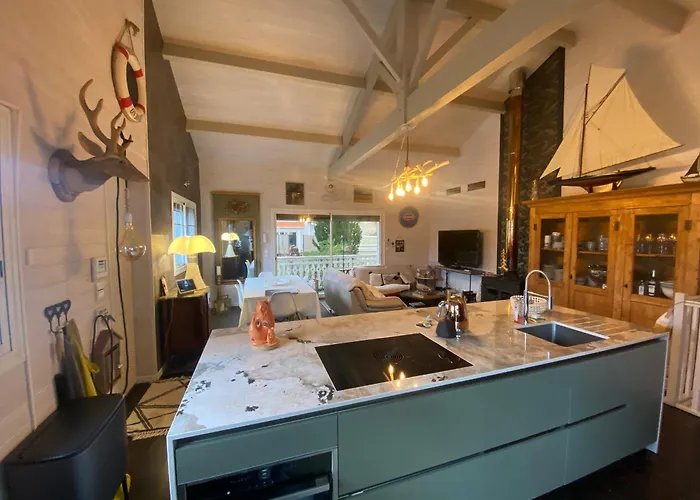 Boisee Avec Piscine Et Jardin, Proche Commerces Et Plage, Wifi Inclus A - Fr-1-374-55 Villa Arcachon